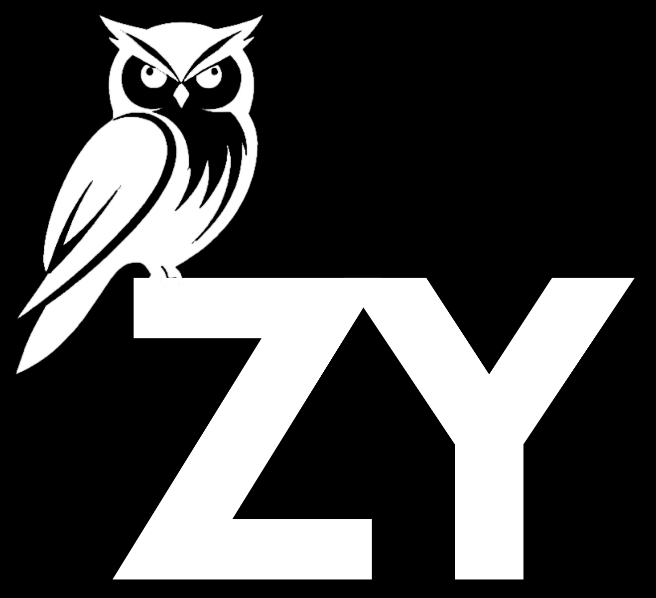 ZY (1)